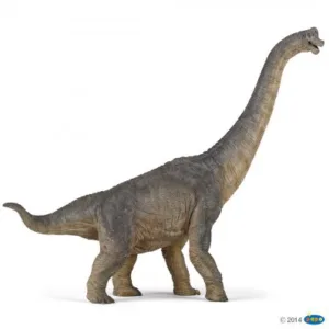 Brachiosaurus