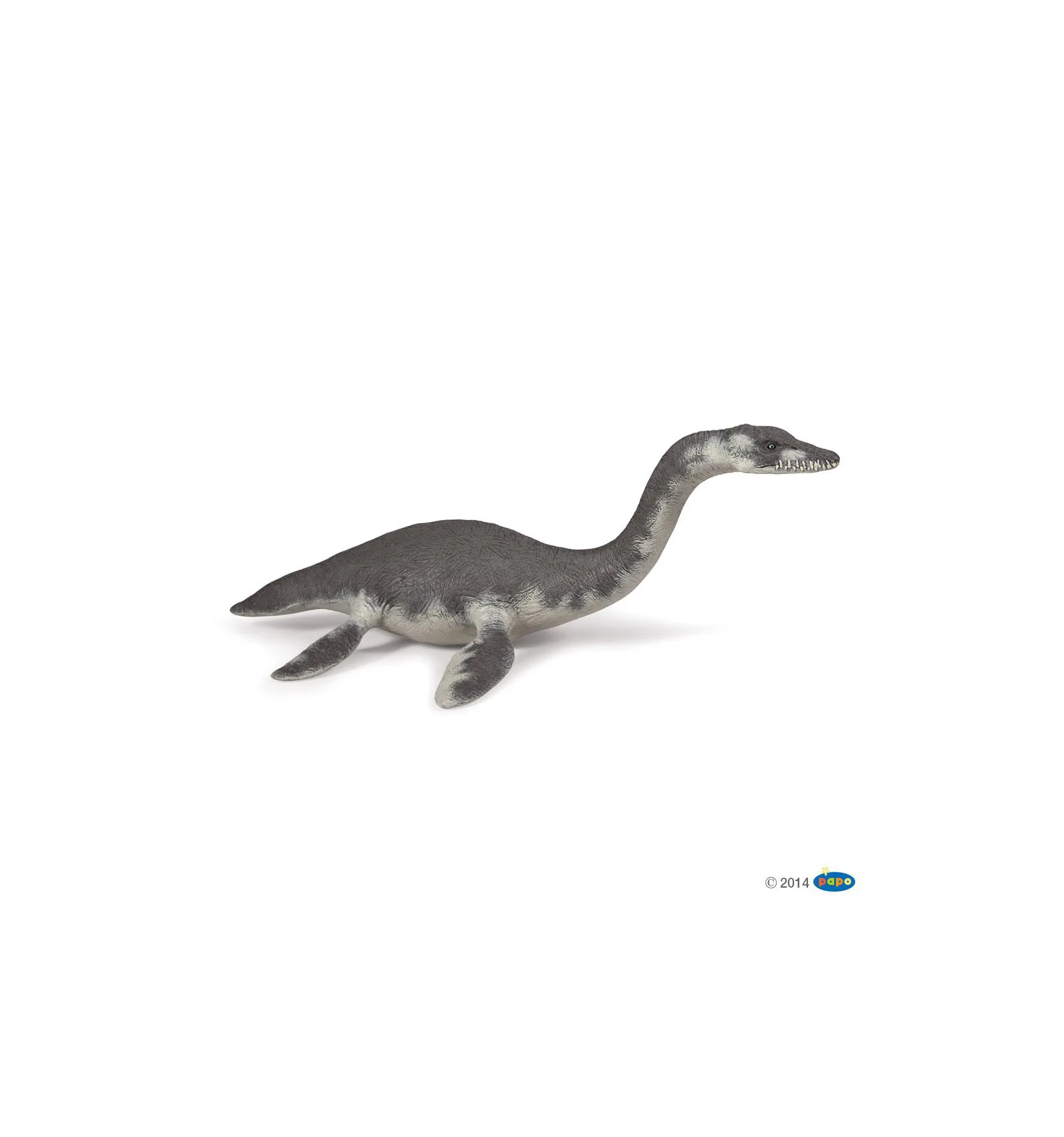 Plesiosaurus