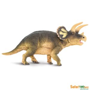 Triceratops