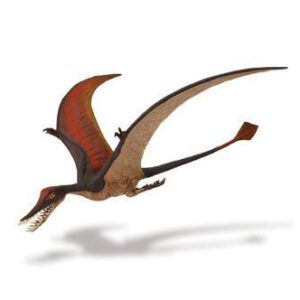 Ramphorhynchus