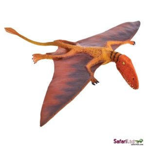 Dimorphodon