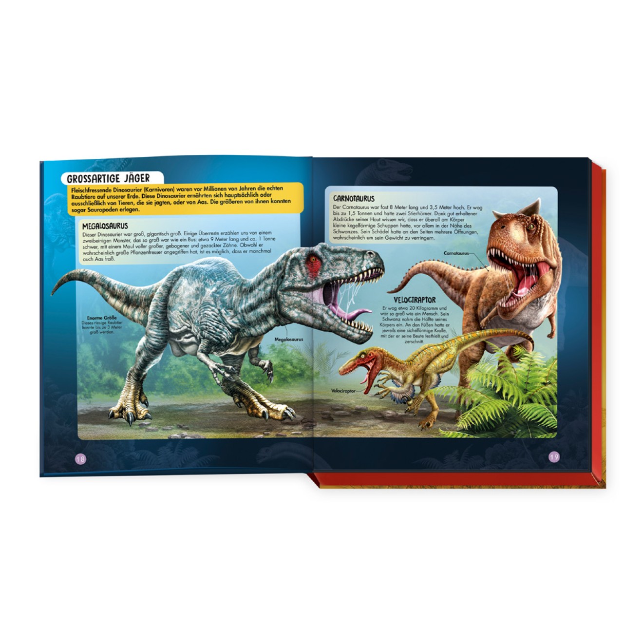 Unglaubliche Dinosaurier – Bild 2